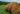 Haystack in Field